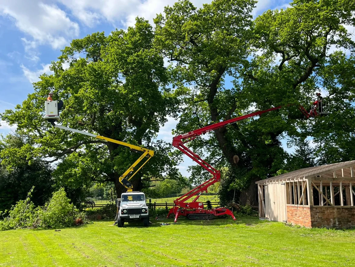 Premier Tree
            Care & Arboriculture Services